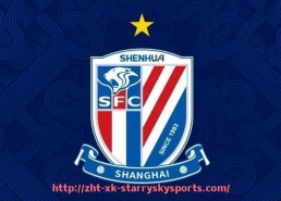 星空体育-法甲赛季的关键球员及其对球队的影响